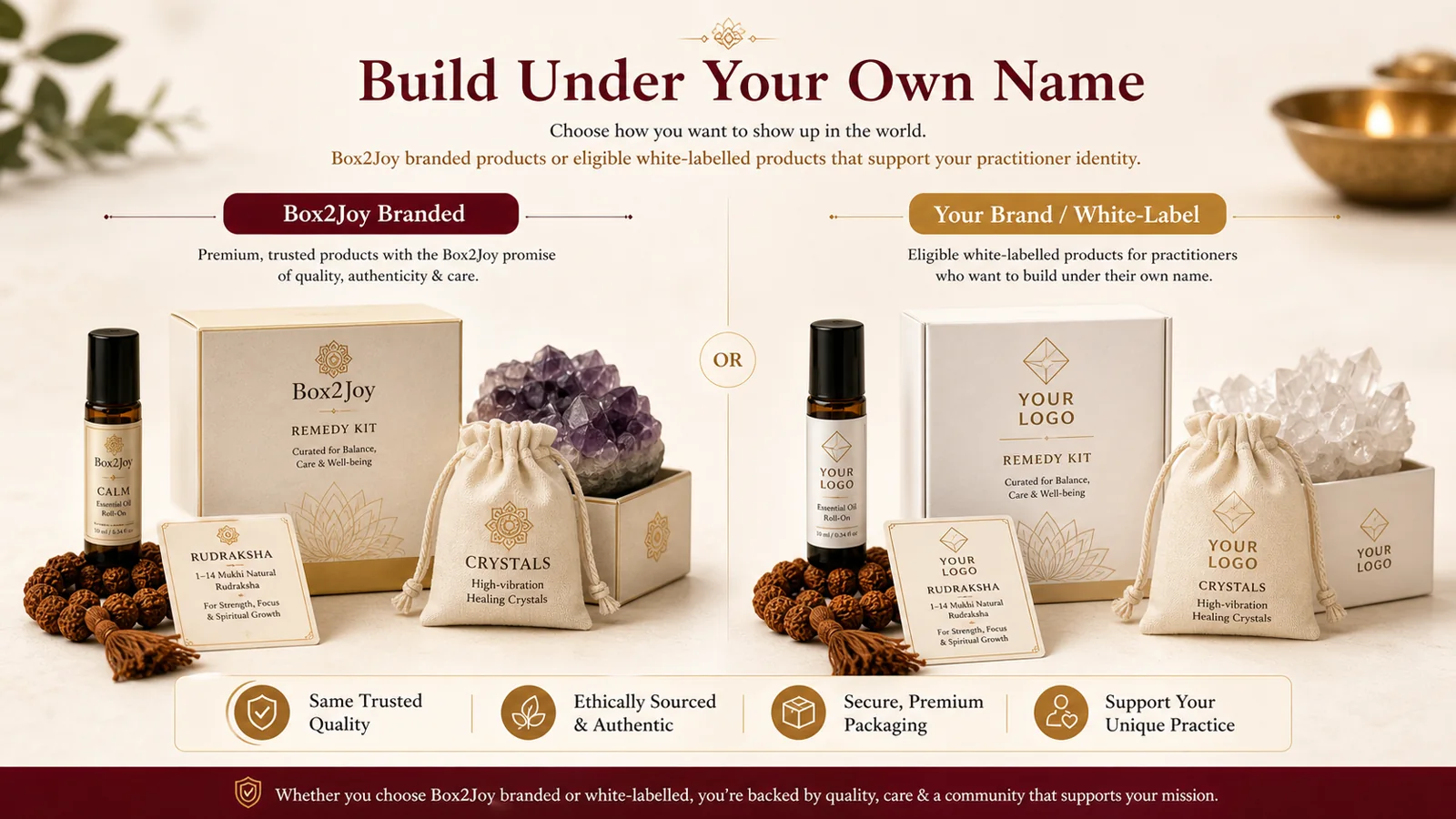 Box2Joy branded and white-label product options for practitioners