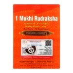 1 Mukhi Rudraksha