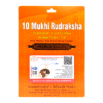 10 Mukhi Rudraksha