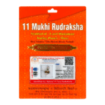 11 Mukhi Rudraksha