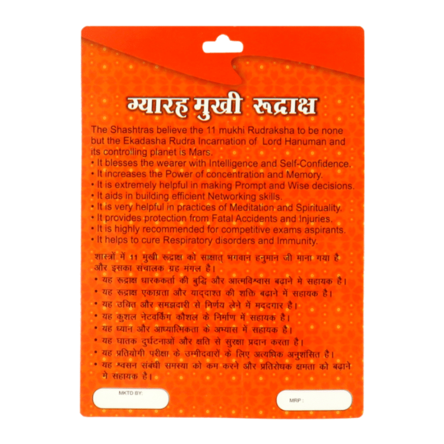 11 Mukhi Rudraksha Benefits