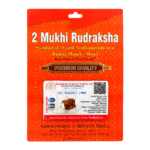 2 Mukhi Rudraksha