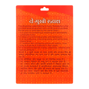 2 Mukhi Rudraksha Benefits