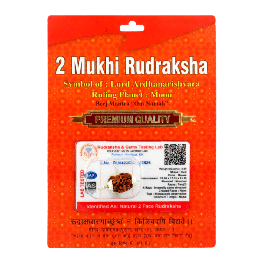 2 Mukhi Rudraksha