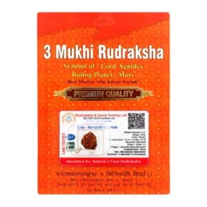 3 Mukhi Rudraksha