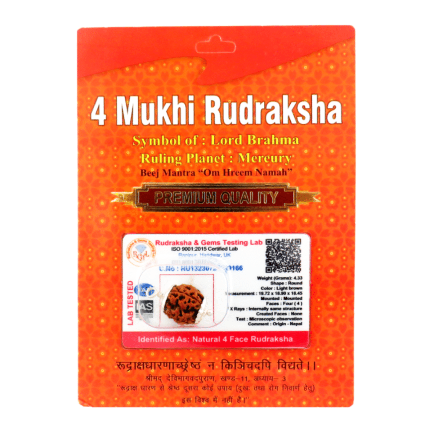 4 Mukhi Rudraksha