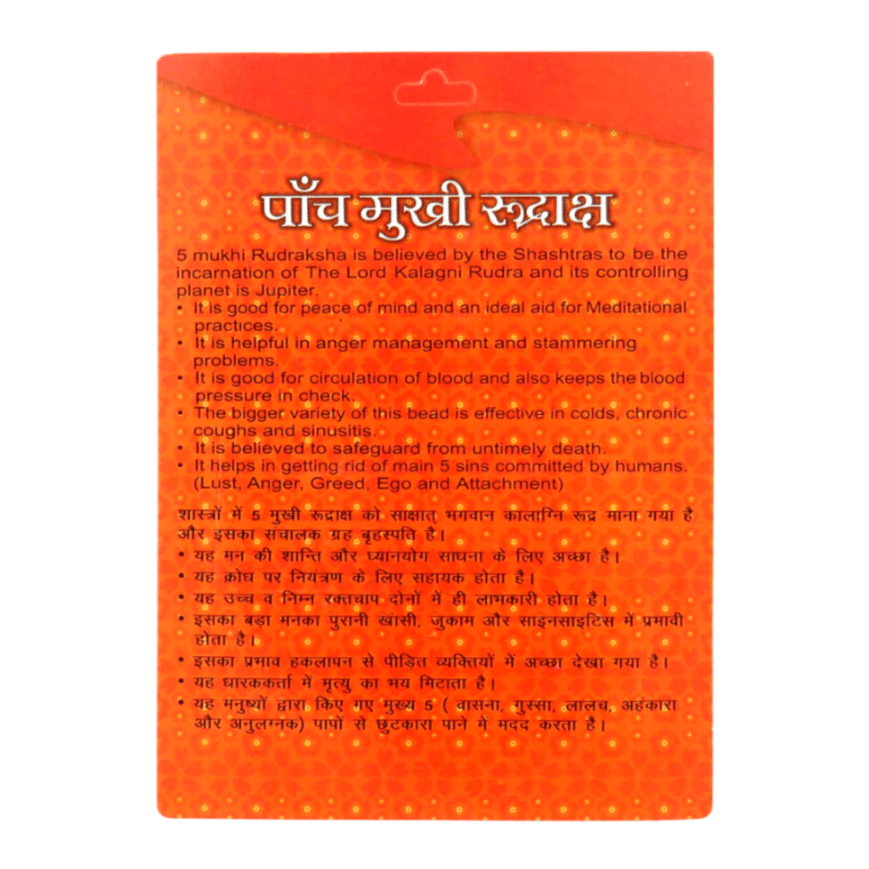 5 Mukhi Rudraksha benefits