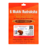 6 Mukhi Rudraksha