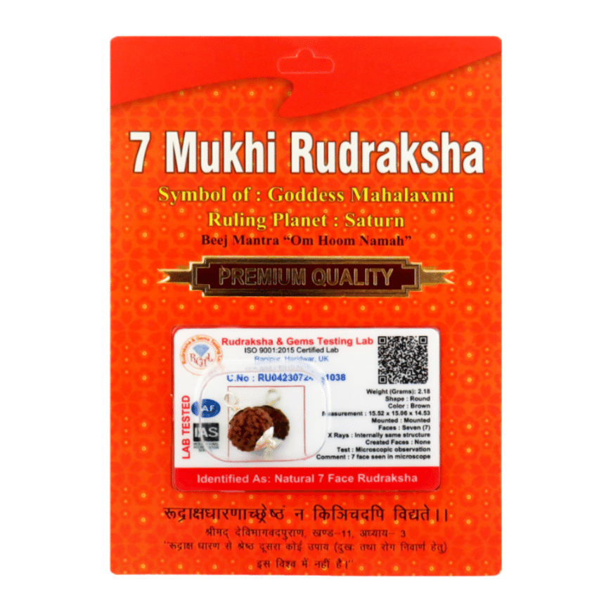 7 Mukhi Rudraksha
