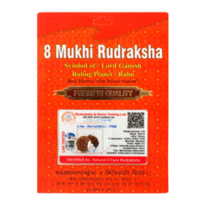 8 Mukhi Rudraksha