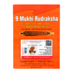 9 Mukhi Rudraksha