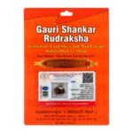 Gauri Shankar Rudraksha