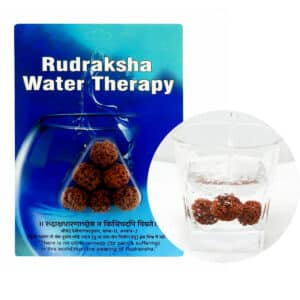 Rudraksha Water Beads