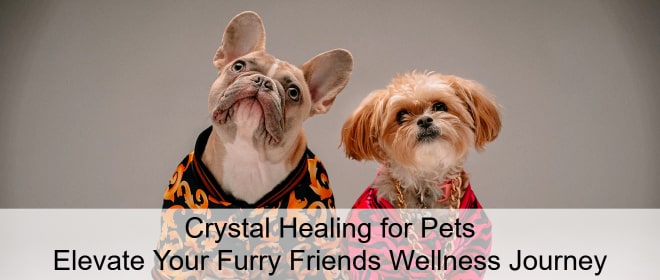 Crystal Healing for Pets